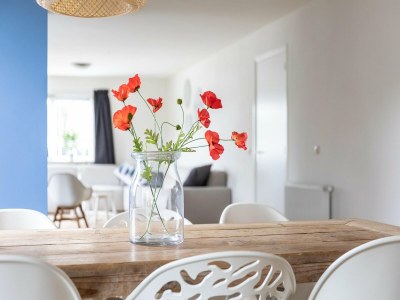 Holiday house Holiday Home in Nes near Vleijen Area - Features photo 14