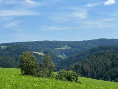 Holiday house Ferienhaus, Schwarzwald - Environment photo 31