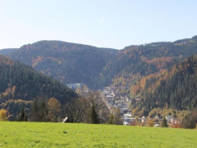 Holiday house Ferienhaus, Schwarzwald - Environment photo 36