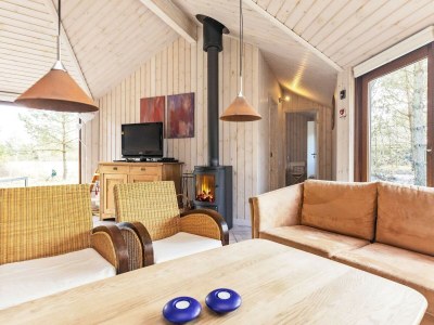 Holiday house 8 Personen Ferienhaus in Fjerritslev-By Traum - Outdoor photo 14