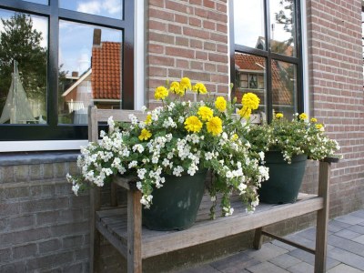 Holiday house Holiday Home Paesens near Wadden Sea - Outdoor photo 37