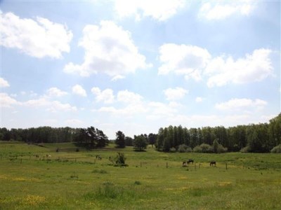 Holiday house Haus-Nr: DMS01091-FYA - Outdoor photo 44