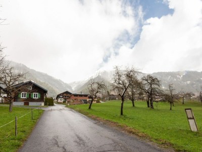 Apartment Wohnung in Sankt Gallenkirch am Skilift - Environment photo 34