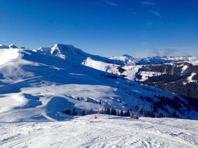 Apartment Chalet in Mittersill near Ski Slopes - Environment photo 23