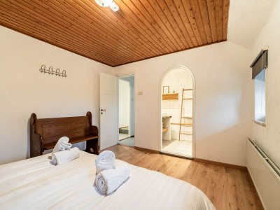 Farmhouse Holiday home in South Limburg with a terrace - Features photo 7