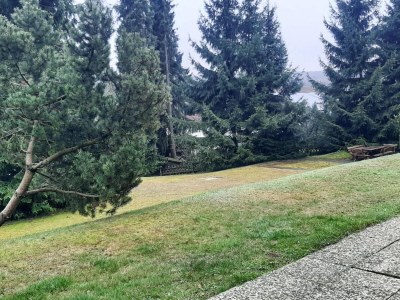 Apartment Ferienwohnung Hexenzauber I in Braunlage - Outdoor photo 8