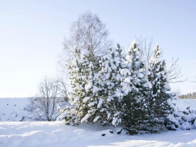 Apartment Ferienwohnung Hexenzauber I in Braunlage - Outdoor photo 43