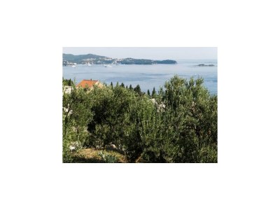 Apartment Apartments Olive - One Bedroom Apartment with Terrace and Partial Sea View - Popolica 50 - Outdoor photo 13