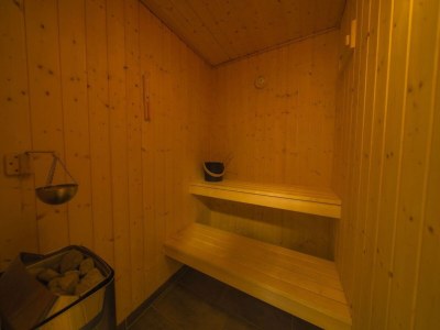 Holiday house Ferienhaus mit Pool und Sauna am Dümmer See - Outdoor photo 50
