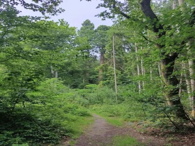 Holiday house Ferienhaus Birgit, Wendorf - Environment photo 29