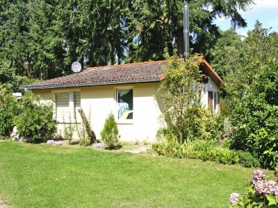 Holiday house Haus-Nr: DMS01103-F in Parchim Region - Holiday house