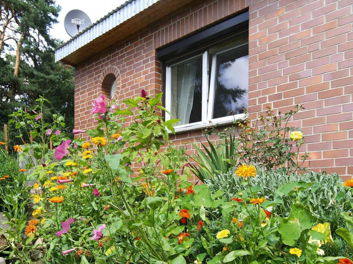 Holiday house Ferienhaus in der Feldberger Seenlandschaft