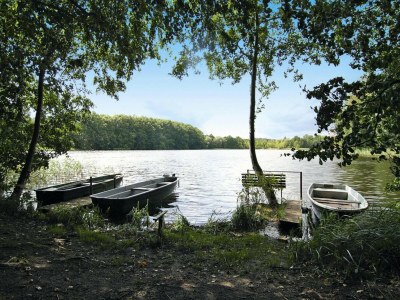Holiday house Ferienhaus in der Feldberger Seenlandschaft - Environment photo 11
