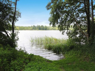 Holiday house Ferienhaus in der Feldberger Seenlandschaft - Environment photo 13