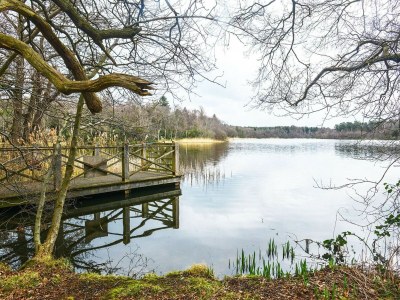 Holiday house Ferienhaus Seeblick, Zemitz - Environment photo 18