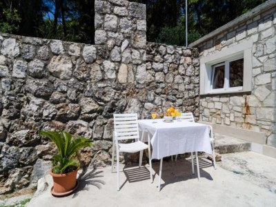 Apartment Apartments & Rooms Tapera- Comfort One-Bedroom Apartment with Terrace and Garden View - Outdoor photo 9