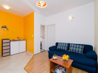 Apartment Apartments & Rooms Tapera- Comfort One-Bedroom Apartment with Terrace and Garden View - Features photo 16