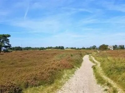 Apartment Appartements Post Hiddensee in Vitte - Environment photo 32