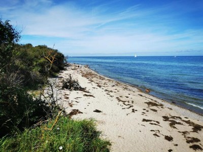 Apartment Appartements Post Hiddensee in Vitte - Environment photo 42
