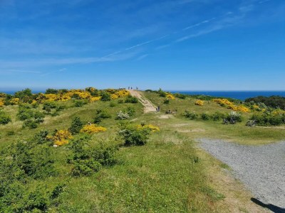 Apartment Appartements Post Hiddensee, Vitte - Environment photo 20