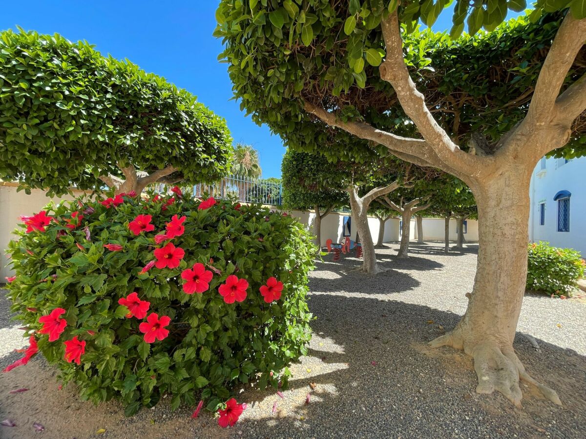 Holiday house Holiday Home Roquetas de Mar near Beach - Outdoor photo 5
