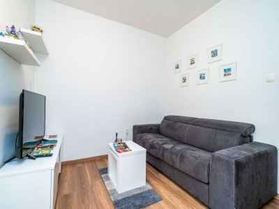 Apartment Apartment Joky - One-Bedroom Apartment - Features photo 9