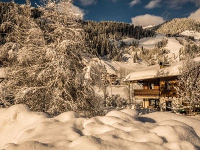 Cottage Rowanberry in Kleinarl - Cottage