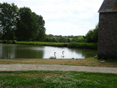Holiday house Manor in Cotentin with Historic Charm - Outdoor photo 6