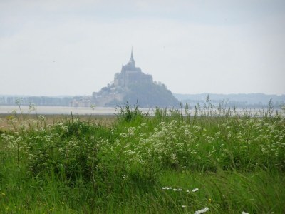 Holiday house Manor in Cotentin with Historic Charm - Environment photo 35