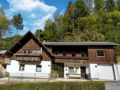 Apartment Wohnung Feld am See nahe Skipisten in Feld am See - Apartment