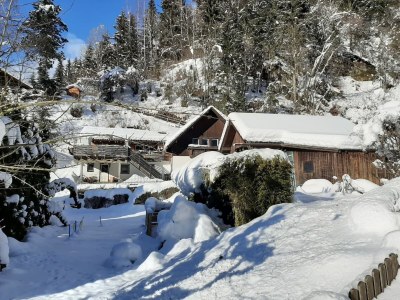 Apartment Wohnung Feld am See nahe Skipisten - Outdoor photo 8