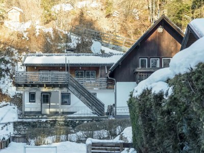 Apartment Wohnung Feld am See nahe Skipisten - Outdoor photo 9