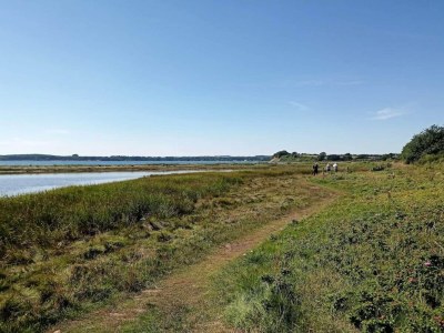 Holiday house 10 person holiday home in Rønde-By Traum - Outdoor photo 14