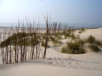 Holiday apartment Petten by the Sea - Environment photo 17