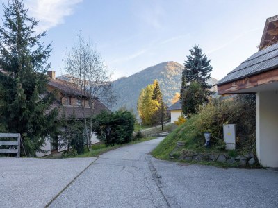Apartment Wohnung im Skigebiet Bad Kleinkirchheim - Environment photo 31