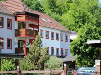 Apartment Wohnung in Deudesfeld mit eigener Terrasse - Outdoor photo 3