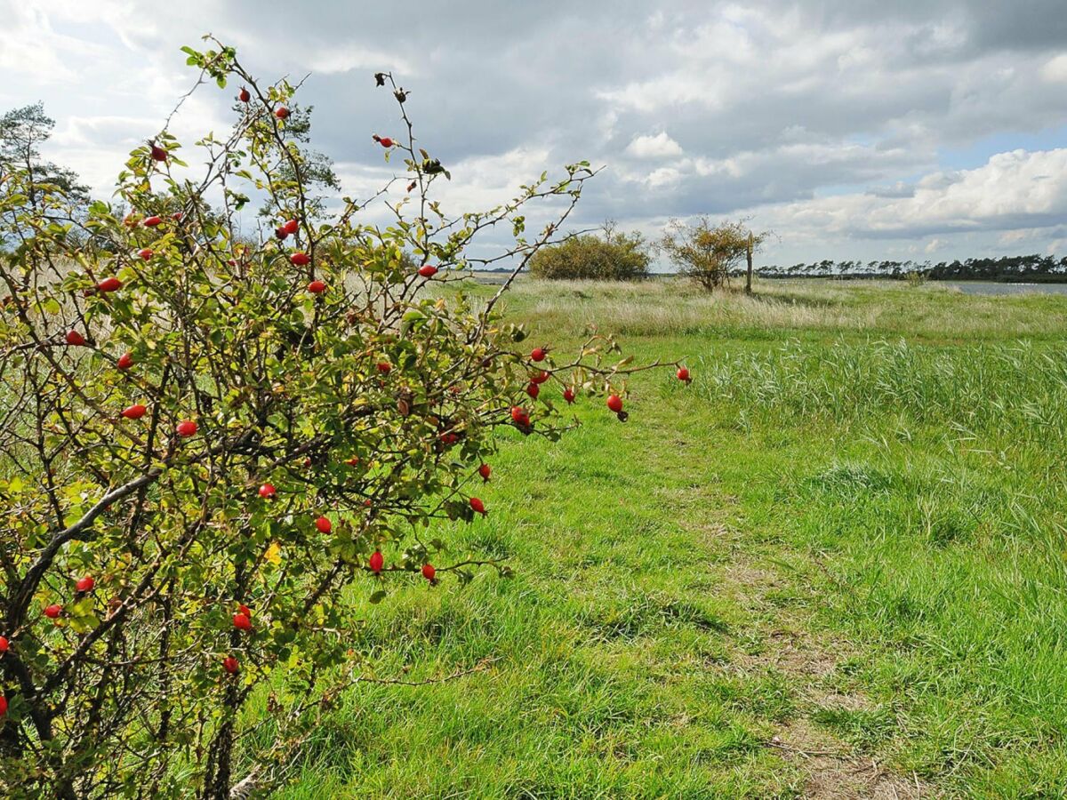 Holiday house Haus-Nr: DOS07136-DYC - Outdoor photo 4