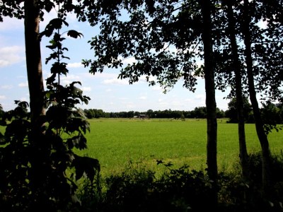 Apartment Ferienwohnung in Moorhusen - Outdoor photo 7