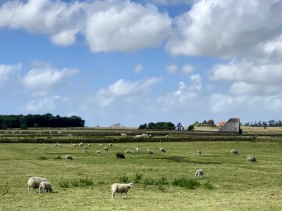 Villa Naturvillen Waalerburght Texel - Document photo 44
