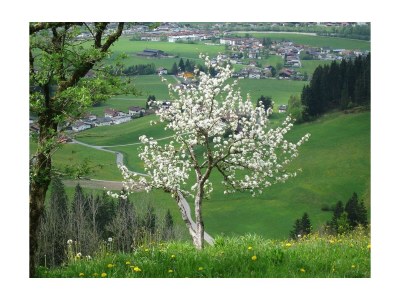 Apartment Appartement Moserberg - Outdoor photo 11