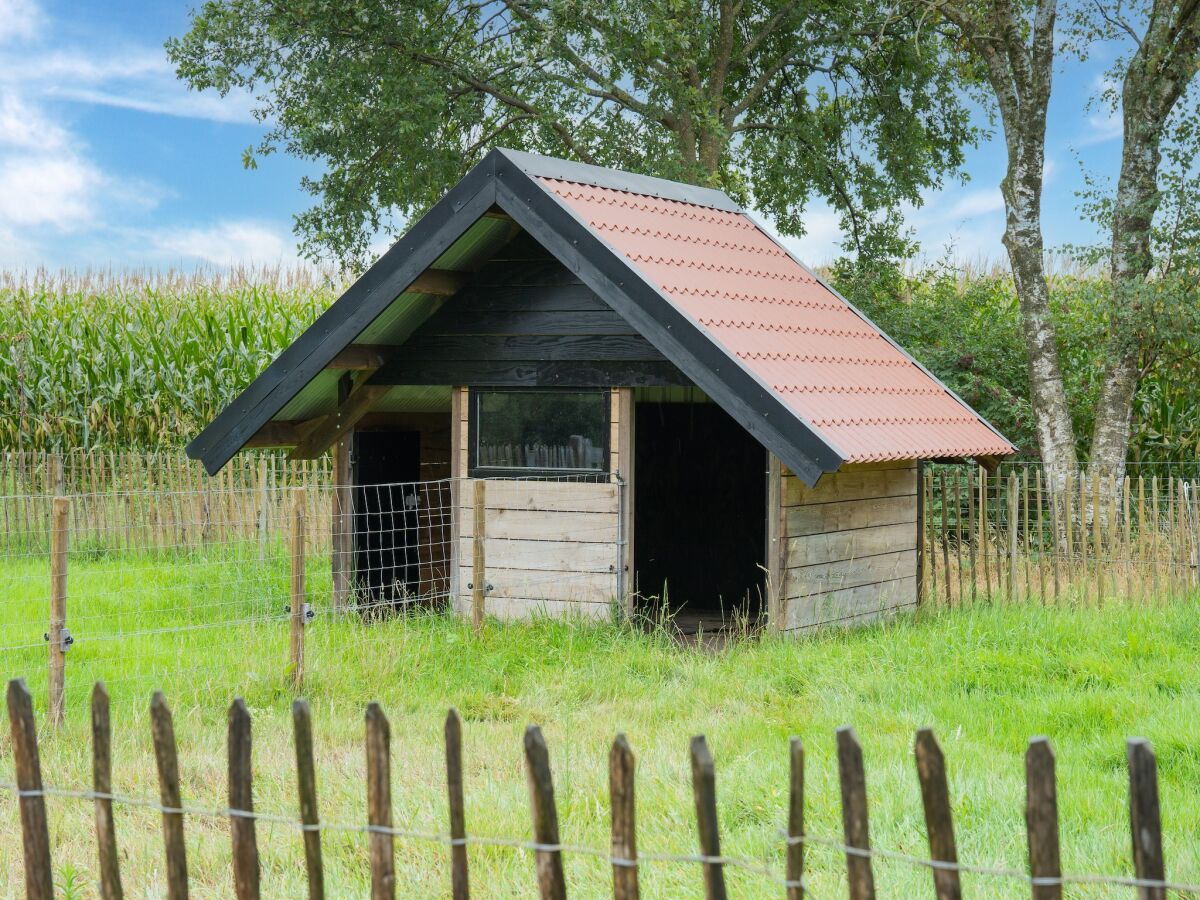 Farmhouse Farmhouse in Elsendorp with Garden - Outdoor photo 3
