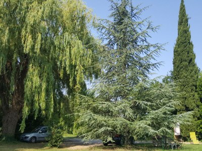 Holiday house La Tonnelle - Outdoor photo 10