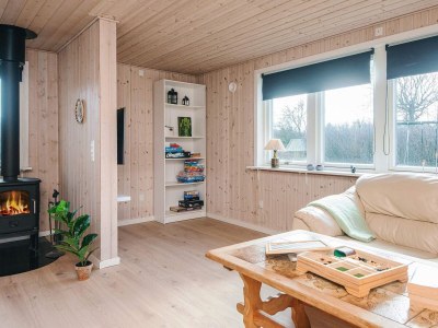 Holiday house 7 Personen Ferienhaus in Ulfborg-By Traum - Outdoor photo 11