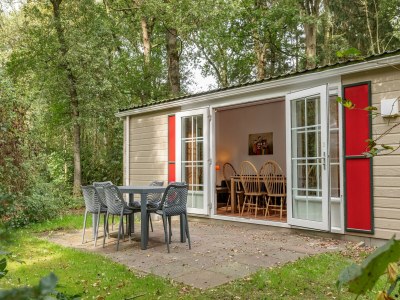 Holiday park Tranquil Stay in Drenthe - Holiday park