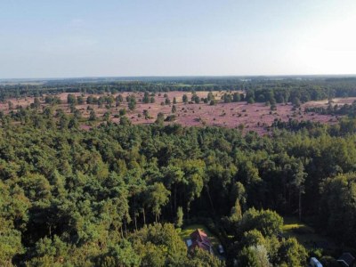 Holiday park Tranquil Stay in Drenthe - Environment photo 28