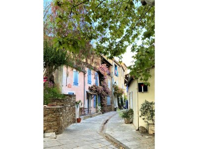 Holiday apartment Oasis in Provence - Environment photo 33