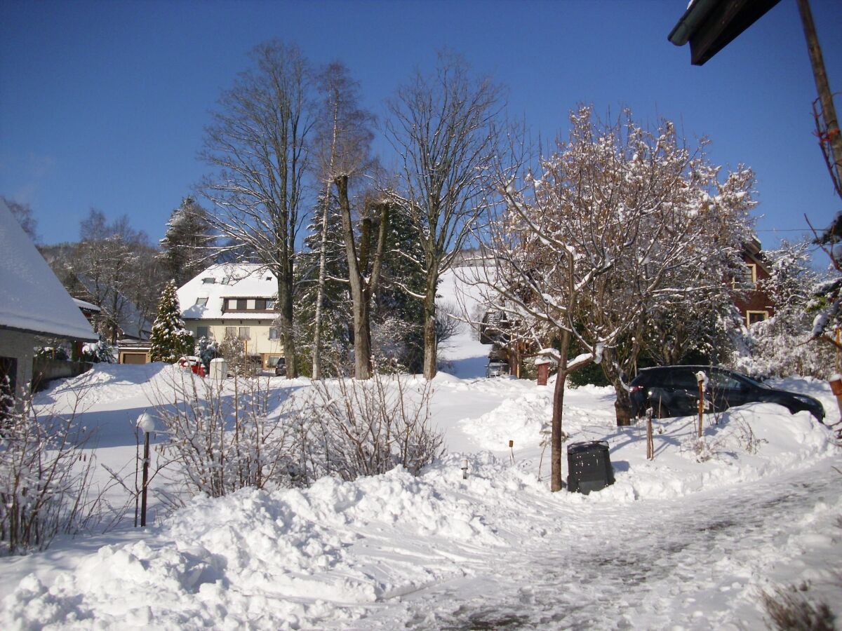 Apartment Gemütliche Gartenwohnung in Bernau - Outdoor photo 4