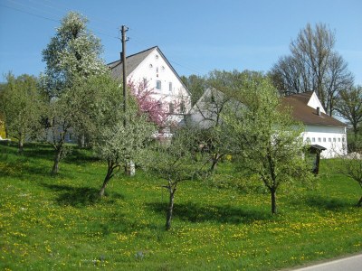 Apartment Wohnung in Rotthalmünster mit Garten - Outdoor photo 25