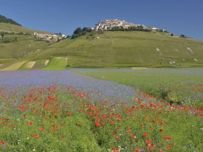 Holiday apartment Countryhouse L'ARIETE - Environment photo 23