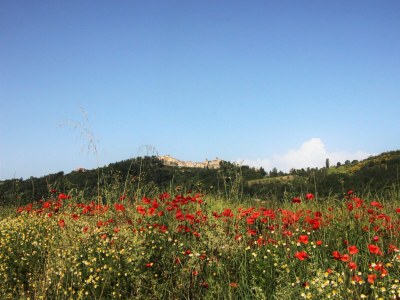 Holiday apartment Countryhouse L'ARIETE - Environment photo 27